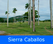 Sierra Caballos - La Isla de la Juventud