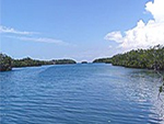 Parque Nacional Ciénaga de Lanier - La Isla de la Juventud