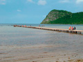 Playa Punta de Piedra