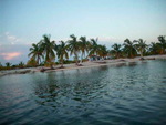 Refugio Natural de Fauna Cayo Campos-Rosario - La Isla de la Juventud