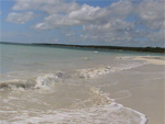 Parque Nacional Ciénaga de Lanier - La Isla de la Juventud