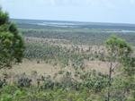 Parque Nacional Ciénaga de Lanier - La Isla de la Juventud