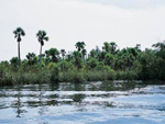 Parque Nacional Ciénaga de Lanier - La Isla de la Juventud