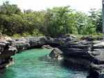 Parque Nacional Ciénaga de Lanier - La Isla de la Juventud