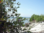 Parque Nacional Ciénaga de Lanier - La Isla de la Juventud