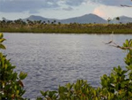 Parque Nacional Ciénaga de Lanier - La Isla de la Juventud