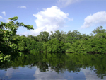 Parque Nacional Ciénaga de Lanier - La Isla de la Juventud