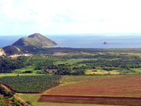 La Isla de la Juventud