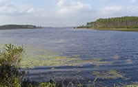 La Isla de la Juventud