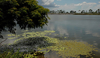 La Isla de la Juventud