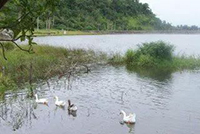 La Isla de la Juventud