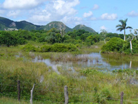 La Isla de la Juventud