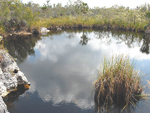 Parque Natural Punta Francés - La Isla de la Juventud