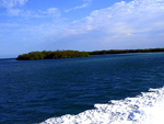 Parque Natural Punta Francés - La Isla de la Juventud