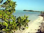 Parque Natural Punta Francés - La Isla de la Juventud