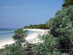 Parque Natural Punta Francés - La Isla de la Juventud