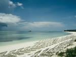 Parque Natural Punta Francés - La Isla de la Juventud