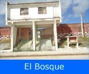 El Bosque - La Isla de la Juventud