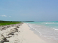 Playa Punta Francés