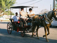 Coche de caballos - Isla de la Juventud - Cuba