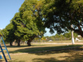 Parque infantil Los Pineritos