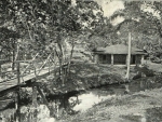 Manatiales de Santa Rita en 1918 - Santa Fe