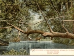 Paseo por el río Santa Rita en Santa Fe
