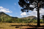 Fotos de Yesmani Yejo Avalos