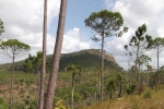 Fotos desde La Cañada