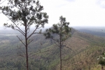Fotos desde La Cañada
