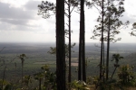 Fotos desde La Cañada