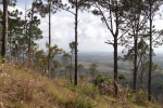 Fotos desde La Cañada